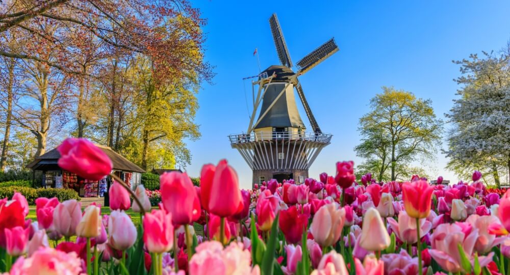 amsterdam group tour